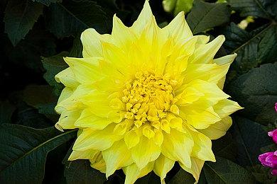 《彩虹六号：围攻》新限时活动“炼狱” 4月26日上线